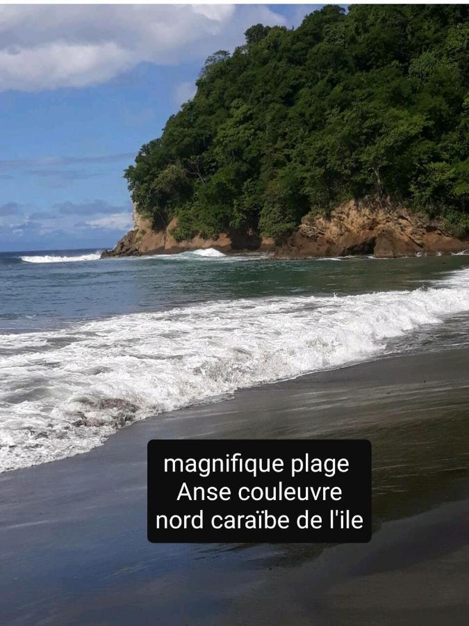 Ferienwohnung A La Montagne Le Morne-Vert Exterior foto